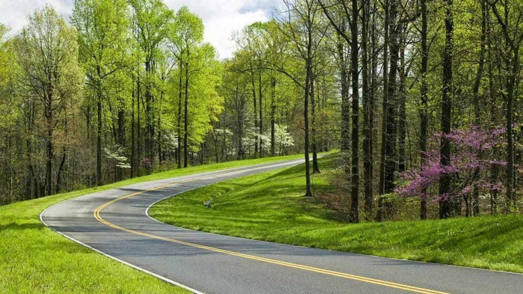 A gentle corner sweep on The Natchez Trace Parkway